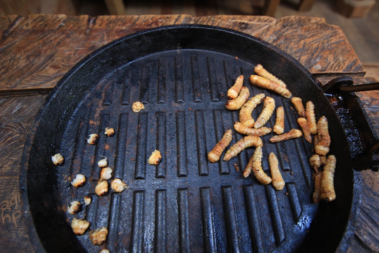 Huhu grubs provided much-needed fat. Photo supplied