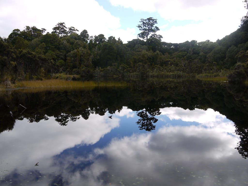 Lake Wilkie