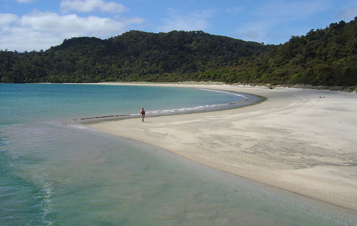 Maori Beach is a remote and peaceful location far from roads and traffic. Photo: Neville Peat