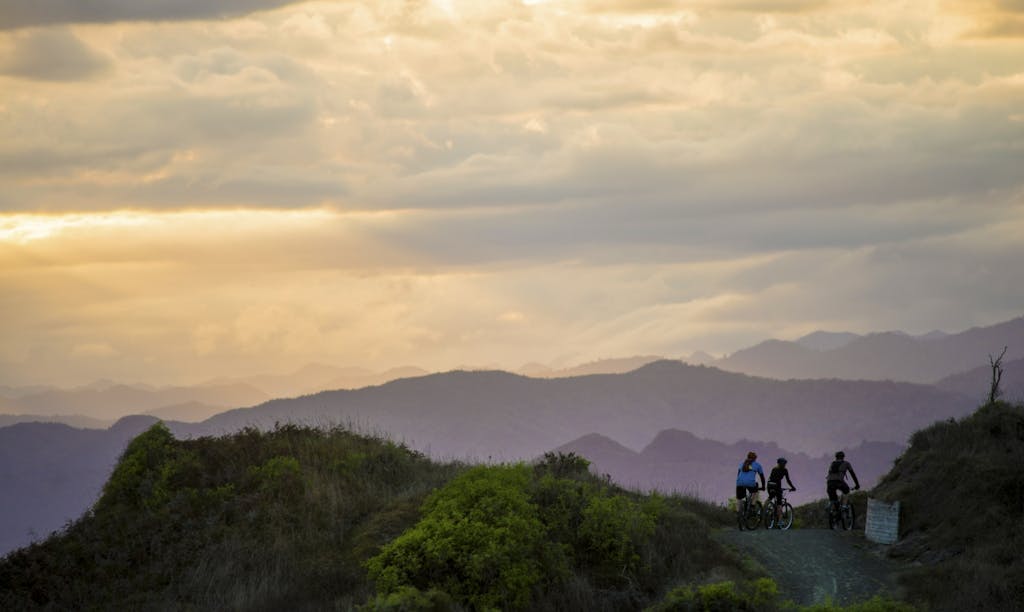 Cyclists enjoy a late evening ride through the dunes on the Motu Trails, on the North Island’s east coast Photo: MOTU TRAILS CHARITABLE TRUST