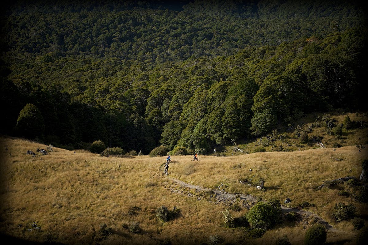 Nelson is an up and coming MTB destination. Photo: www.derekmorrison.co.nz