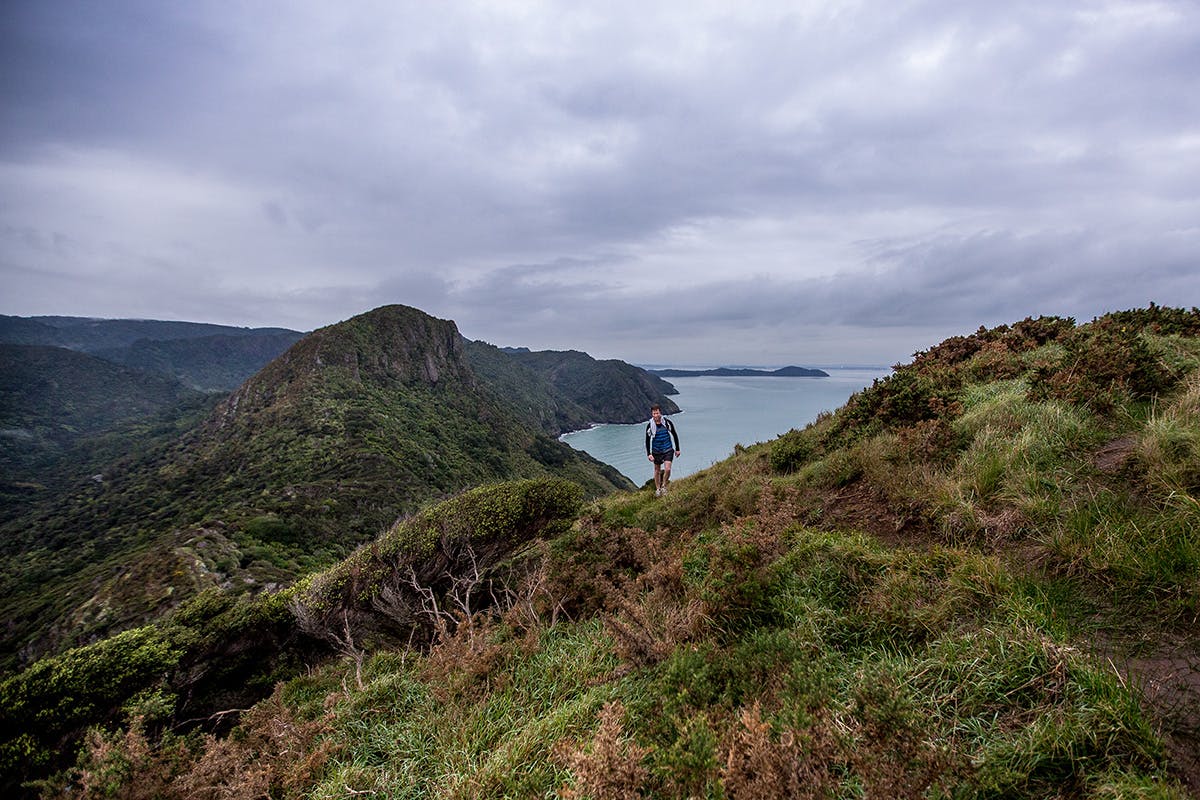Views from Omanawanui Track are the best in the Waitakeres. Photo: Shaun Collins