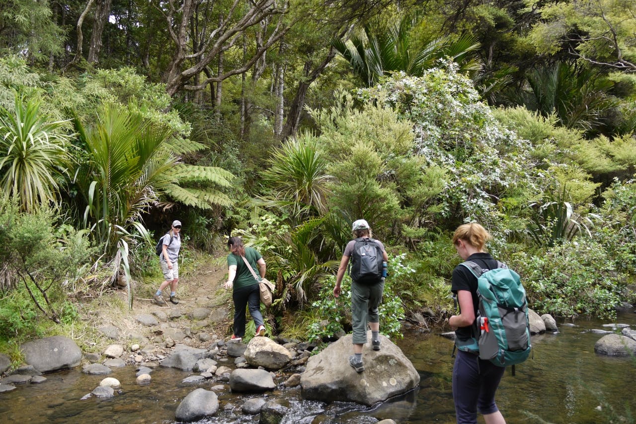 Stream crossing