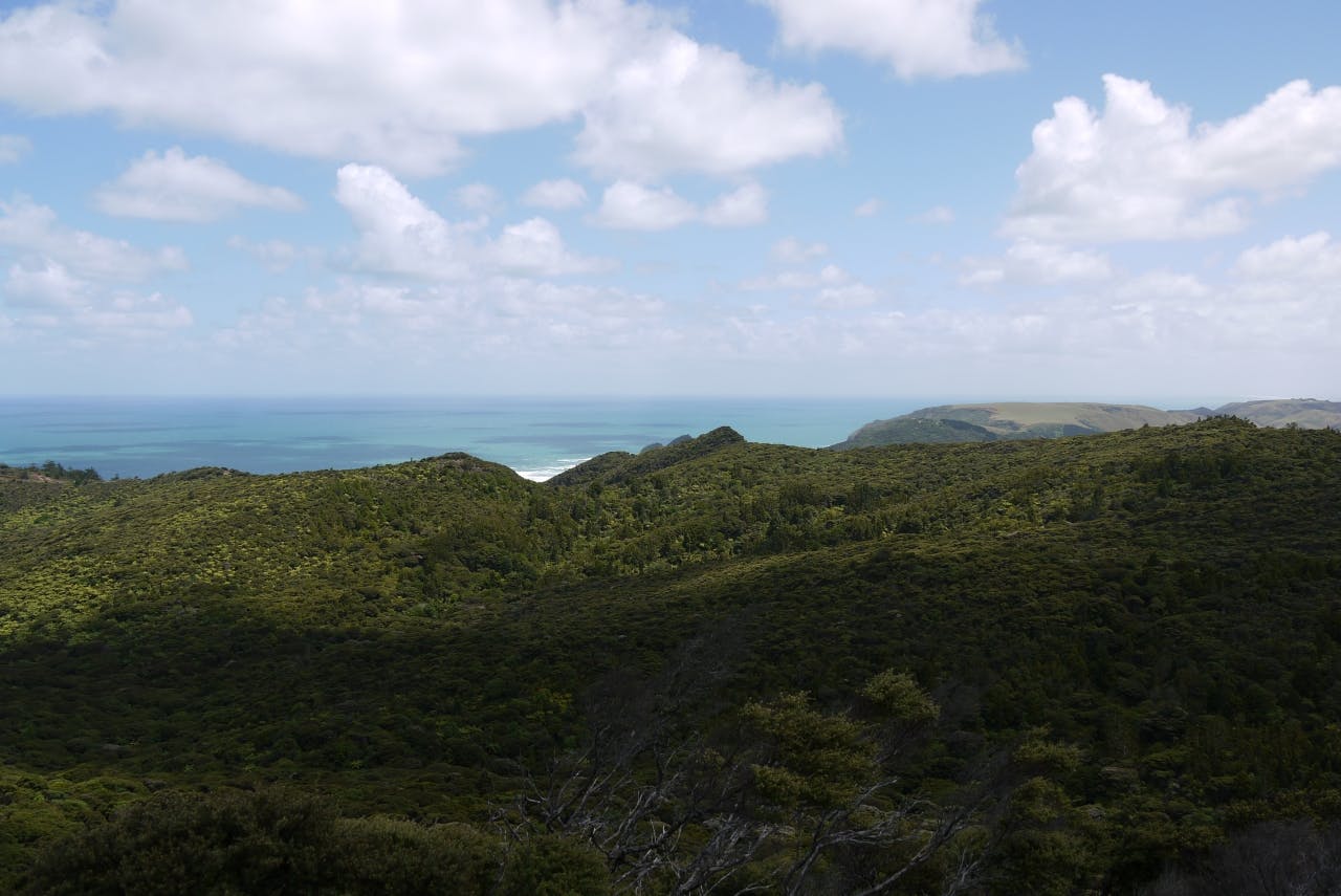 View from Kuataika Trig