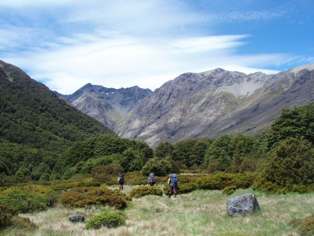 Passing through tussock fields near Paske Hut. Photo supplied