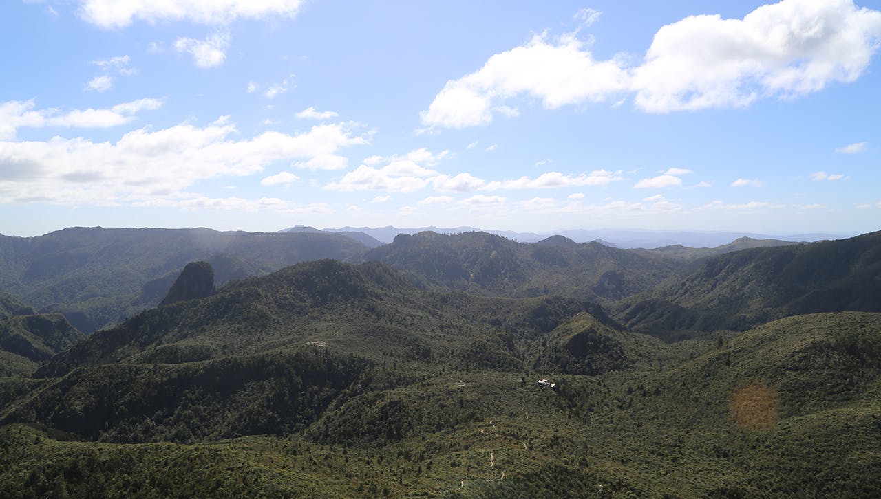 Pinnacles Hut is an easy overnighter
