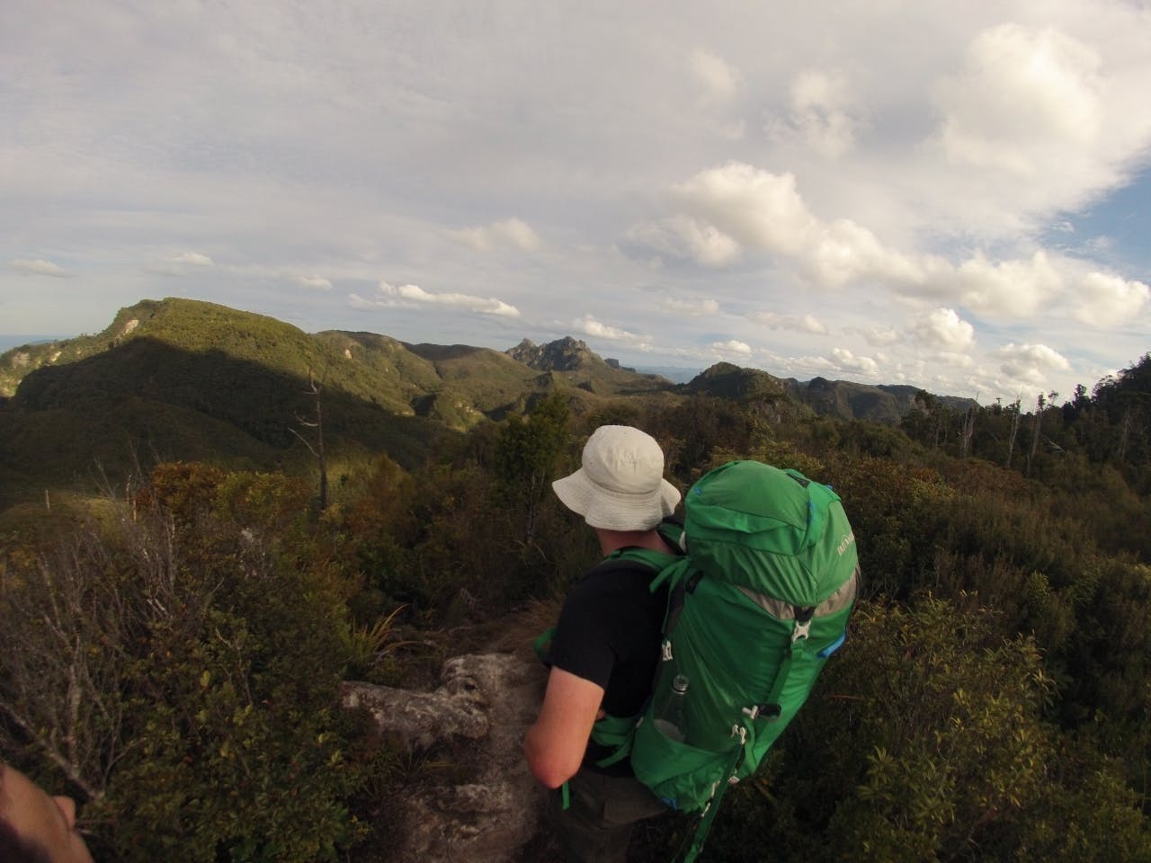 The Coromandel hills are littered with the remains of old kauri dams Stepping stones: The Moss creek Track is notoriously muddy