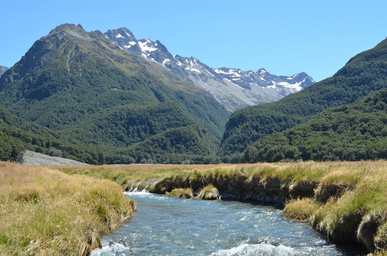 Canyon Creek in Ahuriri Conservation Park