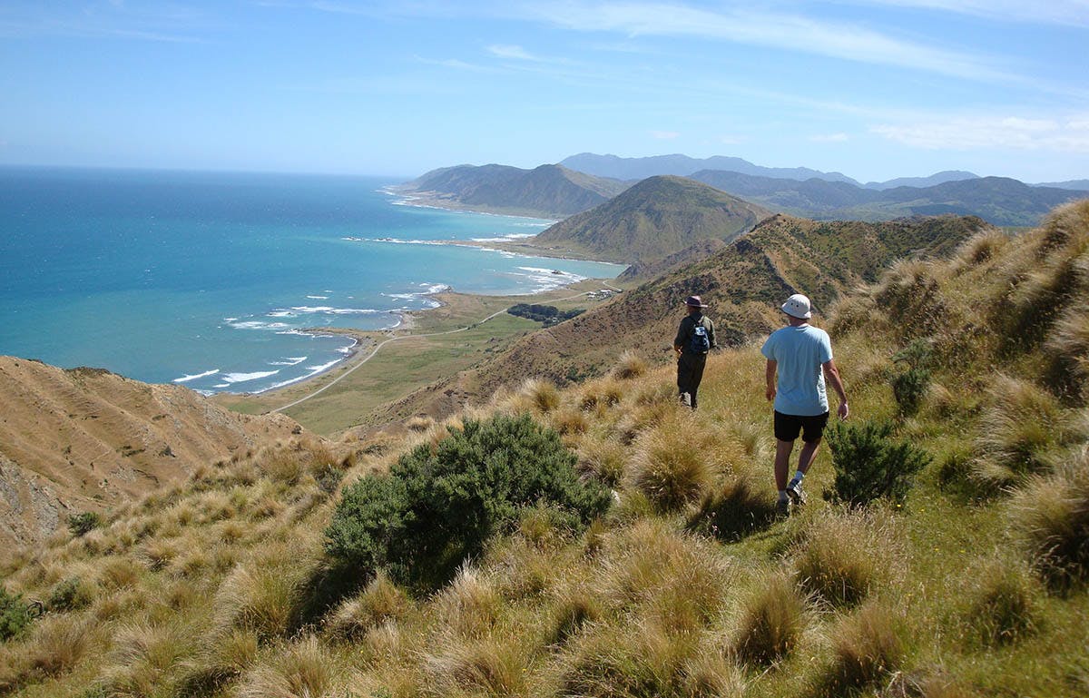 View from the Trig. Photo: Supplied