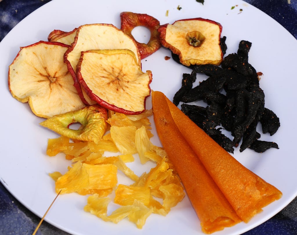 Dehyrated tinned pineapple pieces, sliced apple, venison jerky and peach fruit leather. Photo: Nik Leigh 