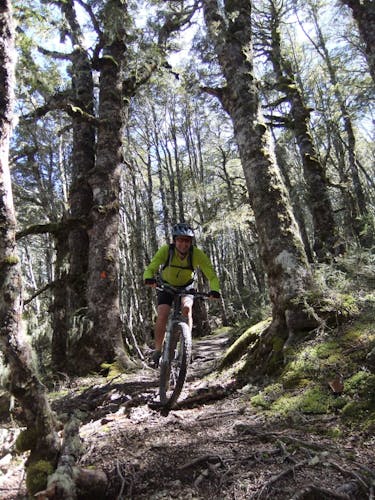 Guy-Wyn Williams: Trail Fund NZ’s Guy Wynn-Williams supports the development dual-use trails