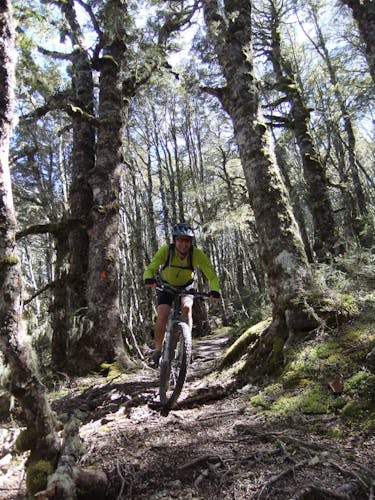 Guy-Wyn Williams: Trail Fund NZ’s Guy Wynn-Williams supports the development dual-use trails 