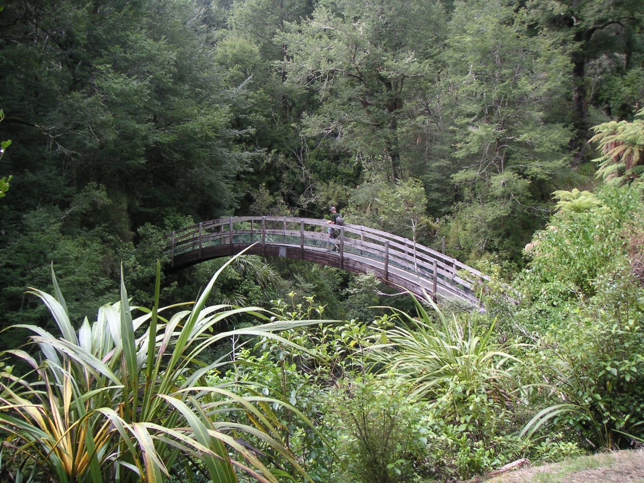The wooden bridge on the track to Oroua