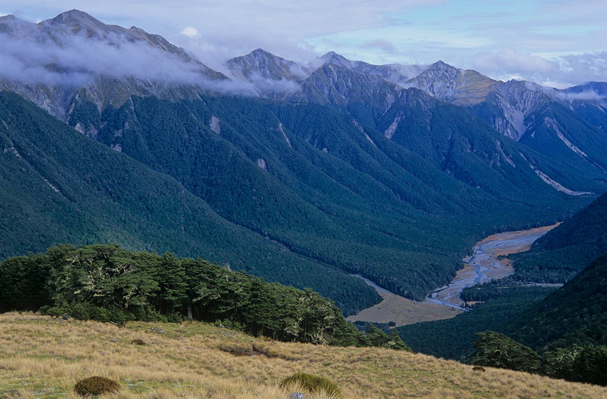 he Hurunui River South Branch is threatened by a 75m-high dam. Photo: Shaun Barnett/Black Robin Photography