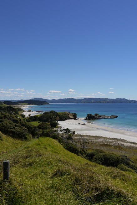 Auckland's Tawharanuwi Regional Park will soon be home to takahe. Photo: Alison Stanes