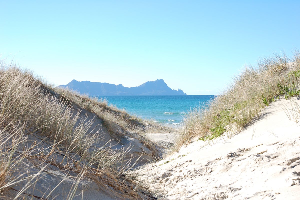 Immerse yourself in nature at Uretiti Beach. Photo: Supplied