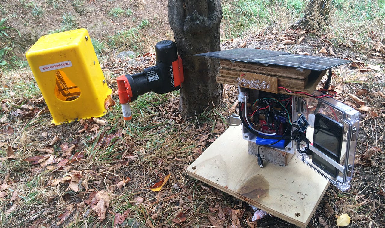 The solar-powered cacophonometer will measure the dawn chorus and could act as a lure to predators. Photo: Supplied