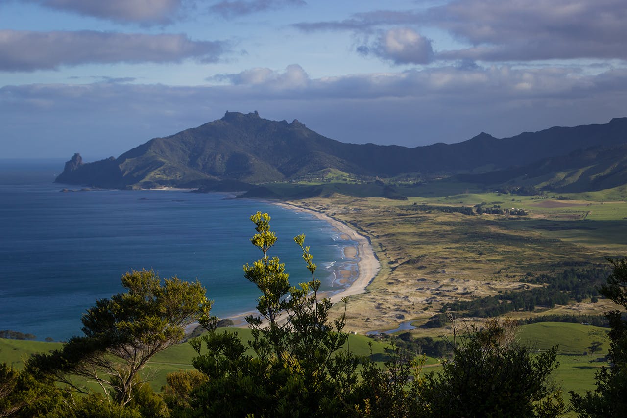 View from Kauri Mountain to Ocean Beach and Bream Head. Photo: Evelyne de Boeck