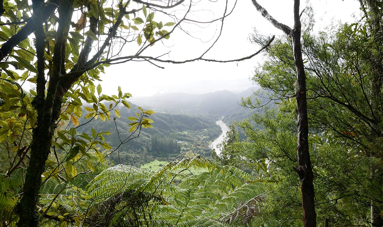View of the Whanganui River from the Matemateaonga Track. Photo: Kathy Ombler