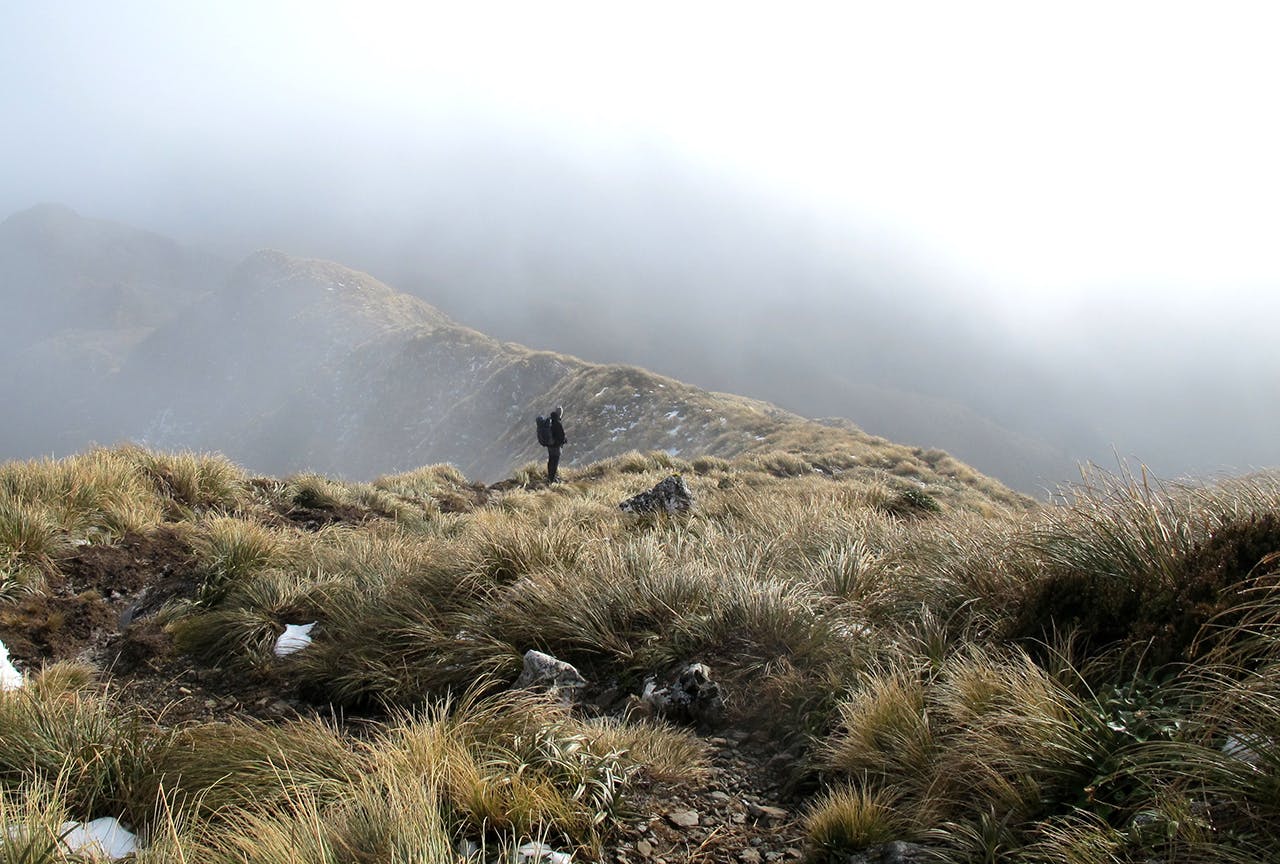 When your head’s in the clouds, are you sure you’re going in the right direction. Photo: Dorothy Kane