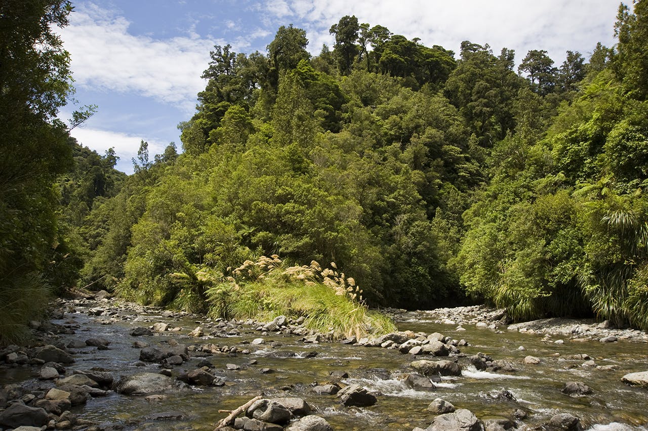 It’s easier than you may think to take a wrong turn – North Ohau is on the left, the South branch on the right. Photo: Shaun Barnett