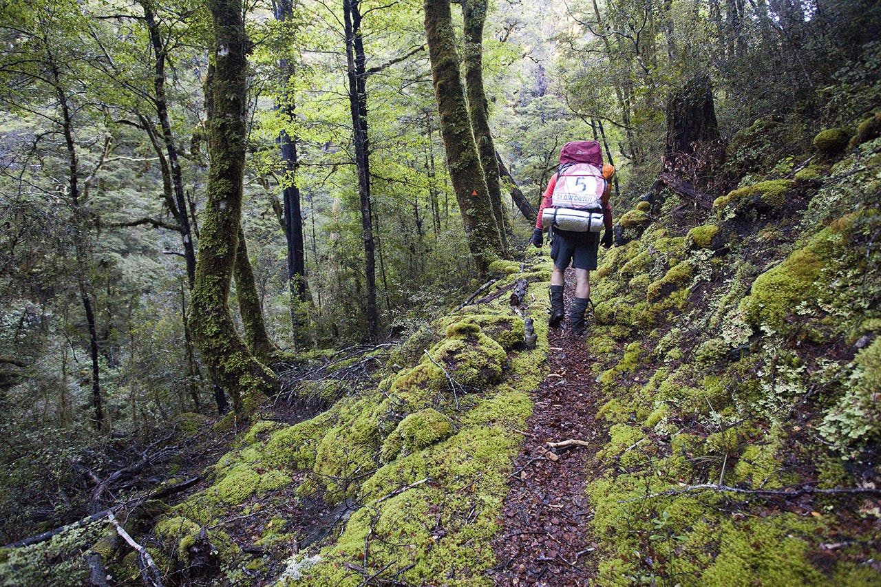 The author carried road signs on his tramp to protest the potential devastation of the 150-year-old Wangapeka Track. Photo: Ray Salisbury