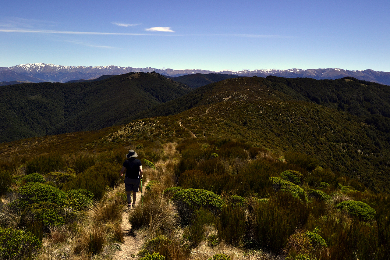 thomas mountain track