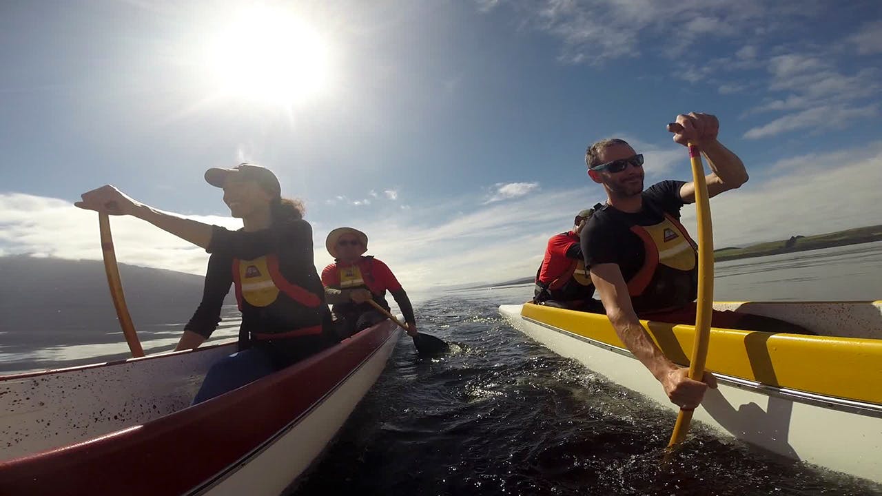 Paddlers put their back into it on Te Ana-au. Photo: Nic Low