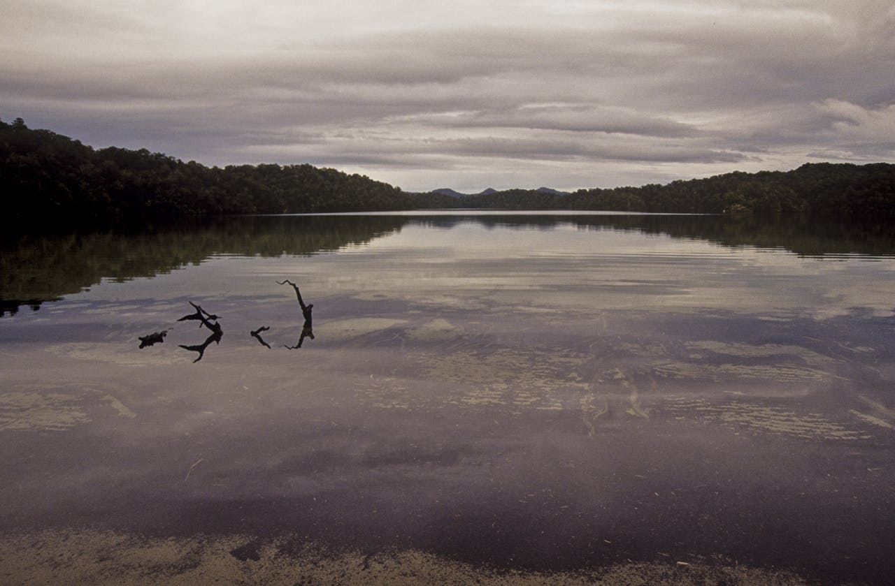 Dawn at Sandy Bay Hut, overlooking Lake Waikareiti. Photo: Shaun Barnett