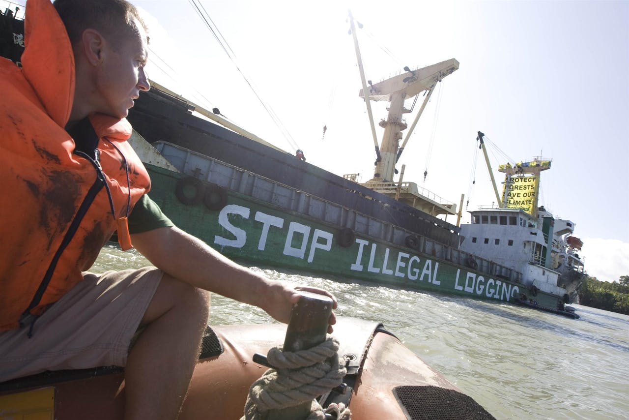 Greenpeace activists paint 'Stop Illegal Logging' onto the side of a logging barge and also prevent its cargo from being loaded onto the 'Harbour Gemini' cargo ship, in Paia port. These forests are being felled by Turama Forest Industries - a group company of Malaysian logging giant Rimbunan Hijau. In 1995, the Papua New Guinea government granted 1.7 million hectares as a logging extension to Turama Forest Industries the extension was almost 10 times bigger than the original concession. The timber permit for this new concession, called Turama Extension is valid for 35 years (until 2030).