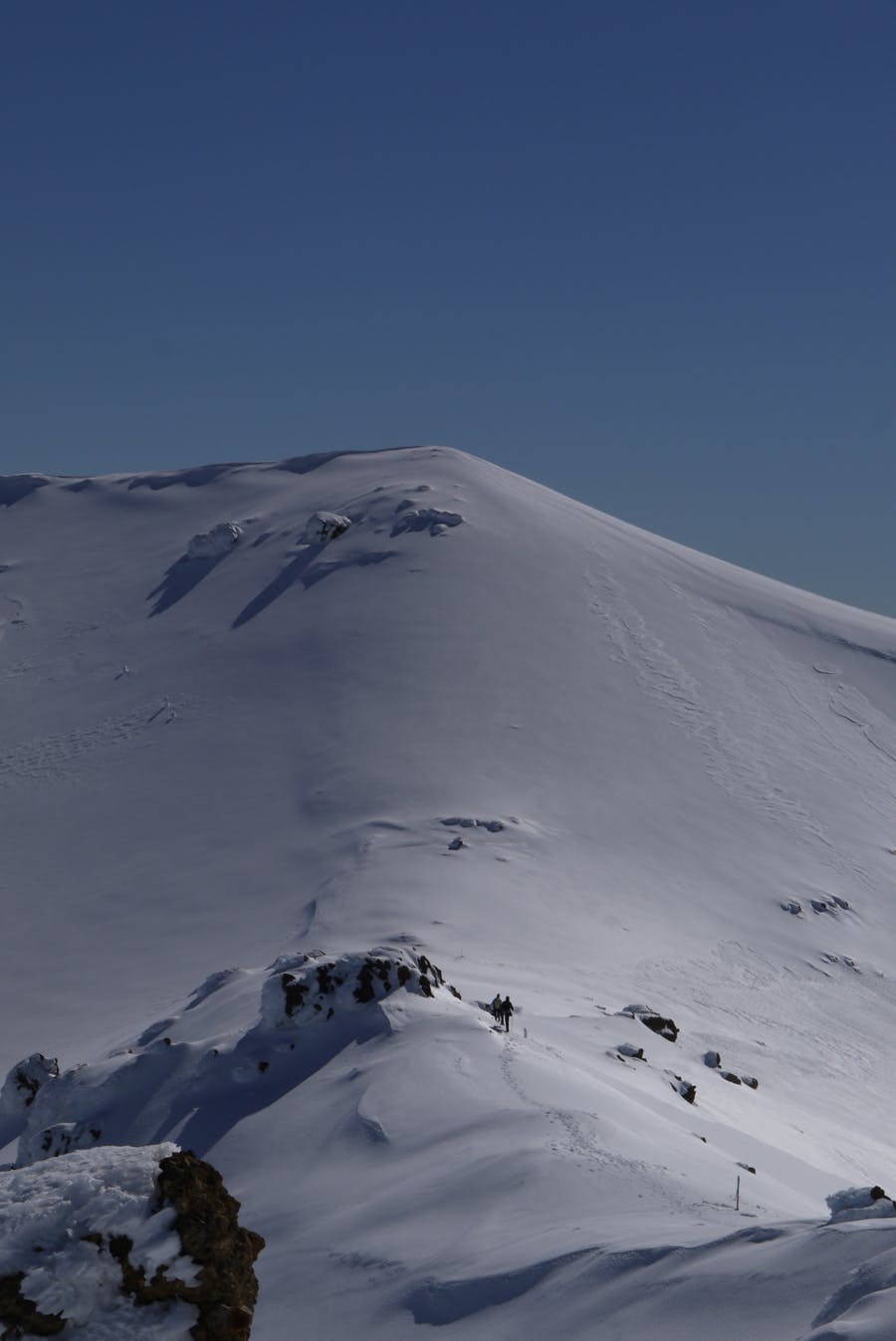 Tongariro. Photo: Alistair Hall