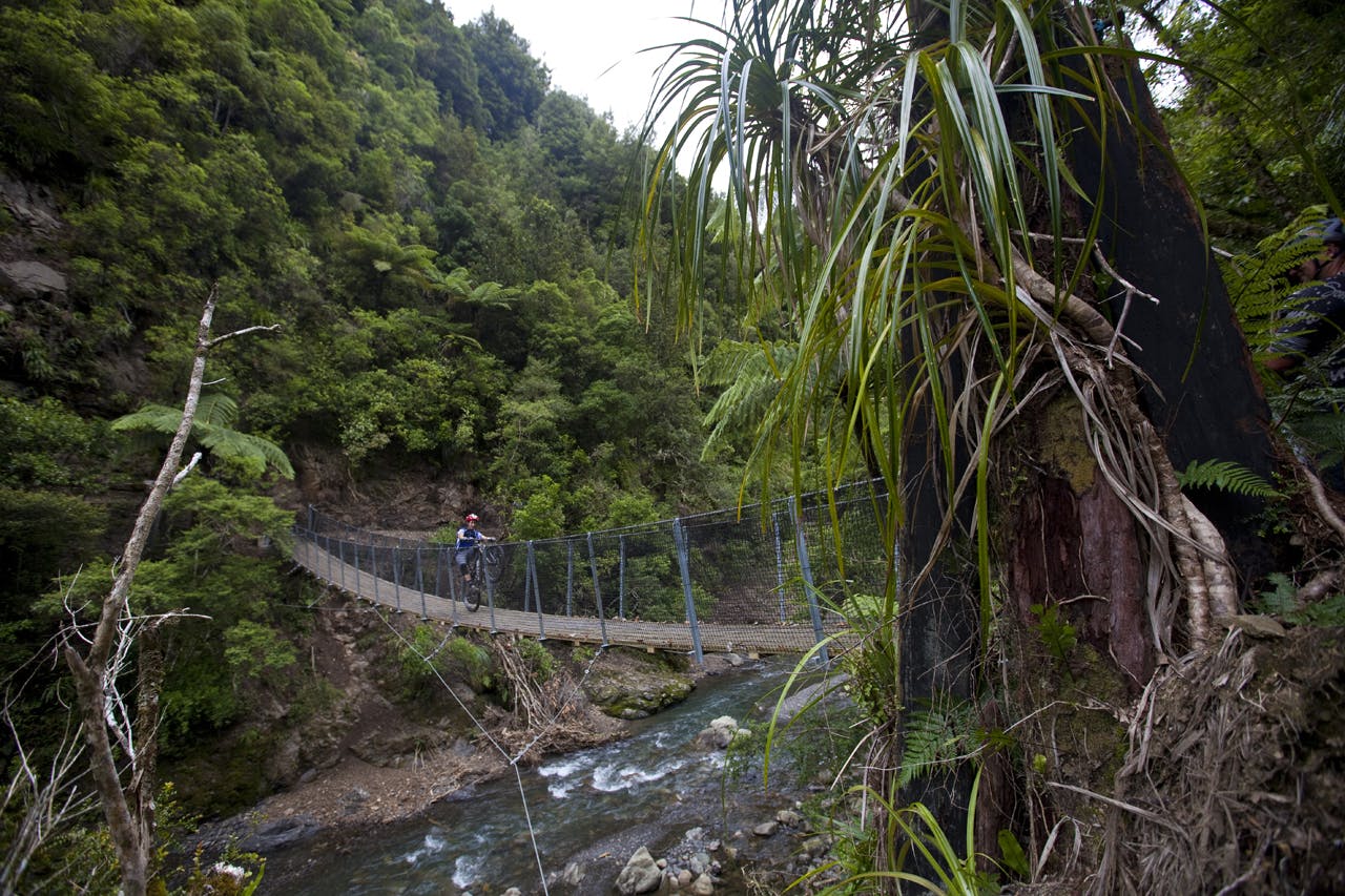 Motu Trails. Photo: Derek Morrison