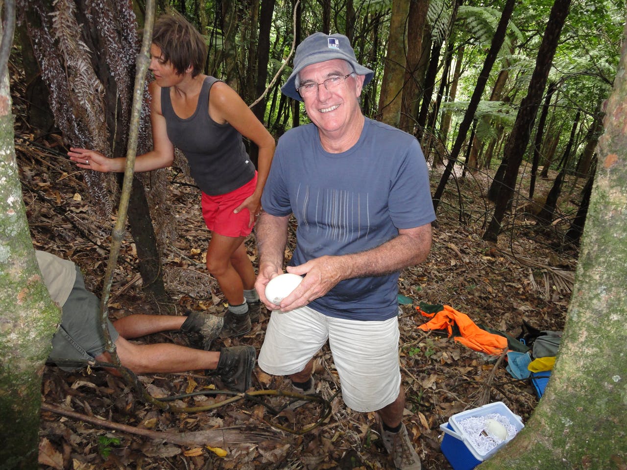 Volunteers with Ark in the Park set and check traps in the Waitakere Ranges Regional Park