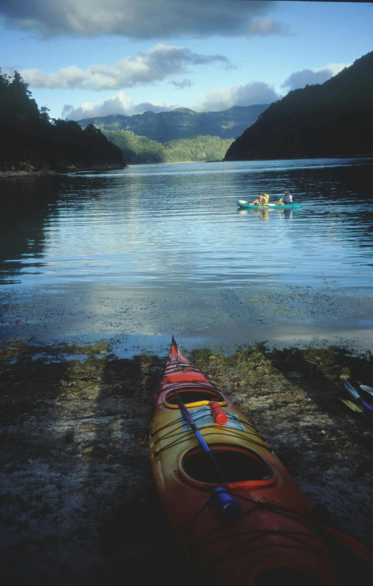 With a multitude of campsites, kayaking Lake Waikaremoana is an alternative way to see the park. Photo: Richard Davies