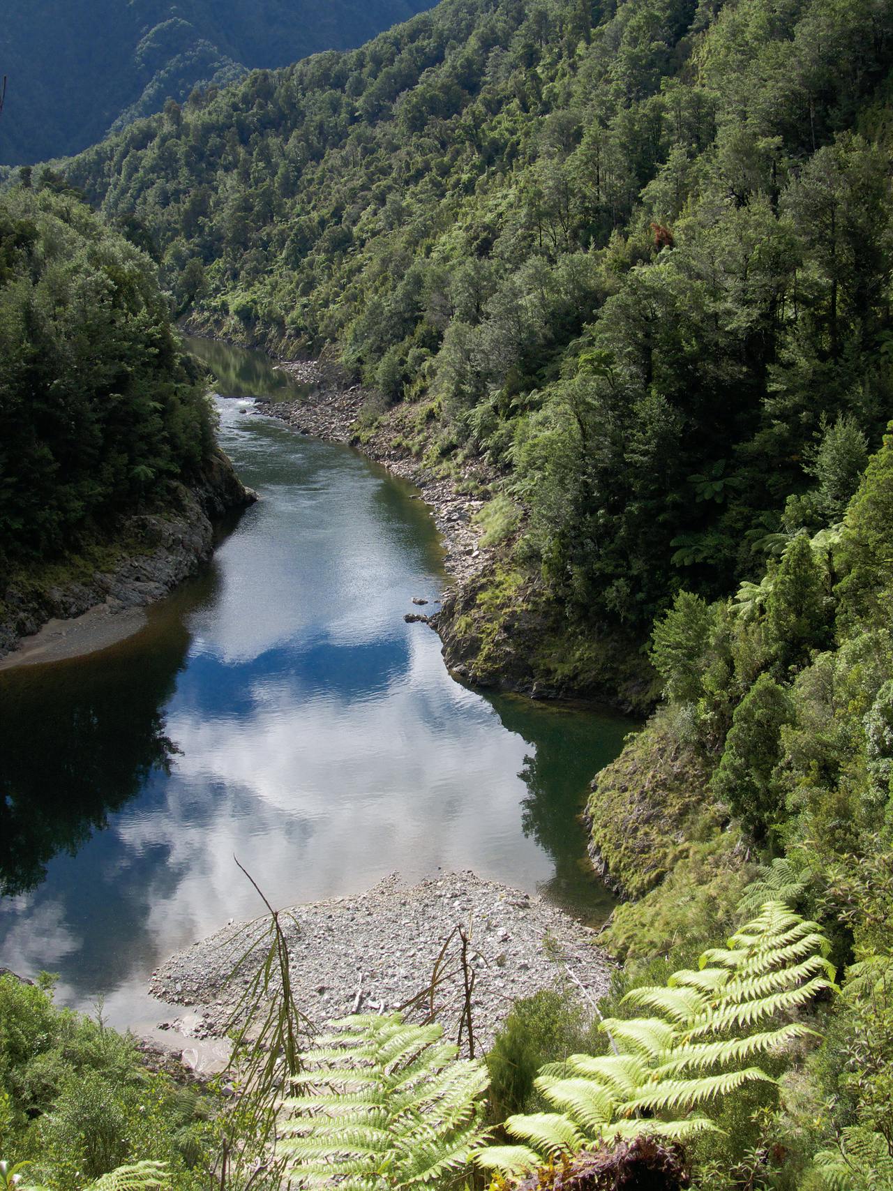View up the Mokihinui Gorge from the track