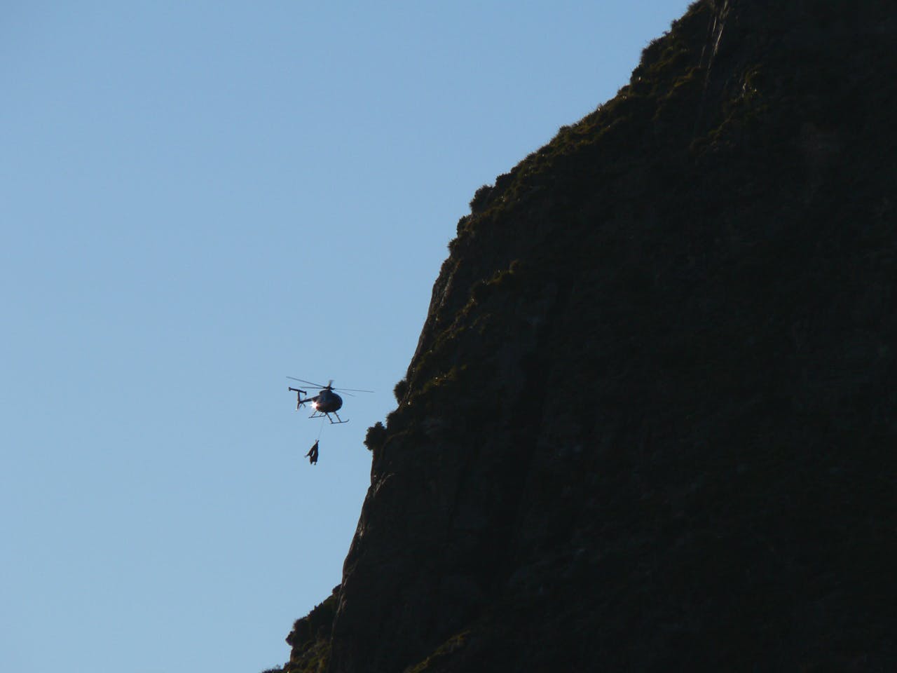 The NZDa says heli-hunting will have detrimental effects on the recreation opportunities of trampers and hunters