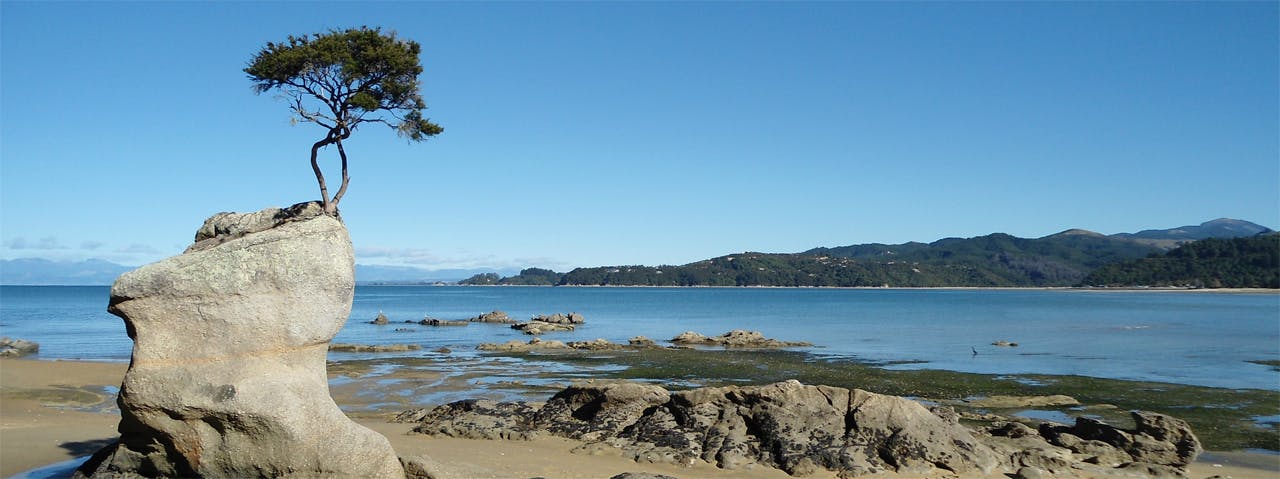 Tinline Bay. Photo: Matthew Pike