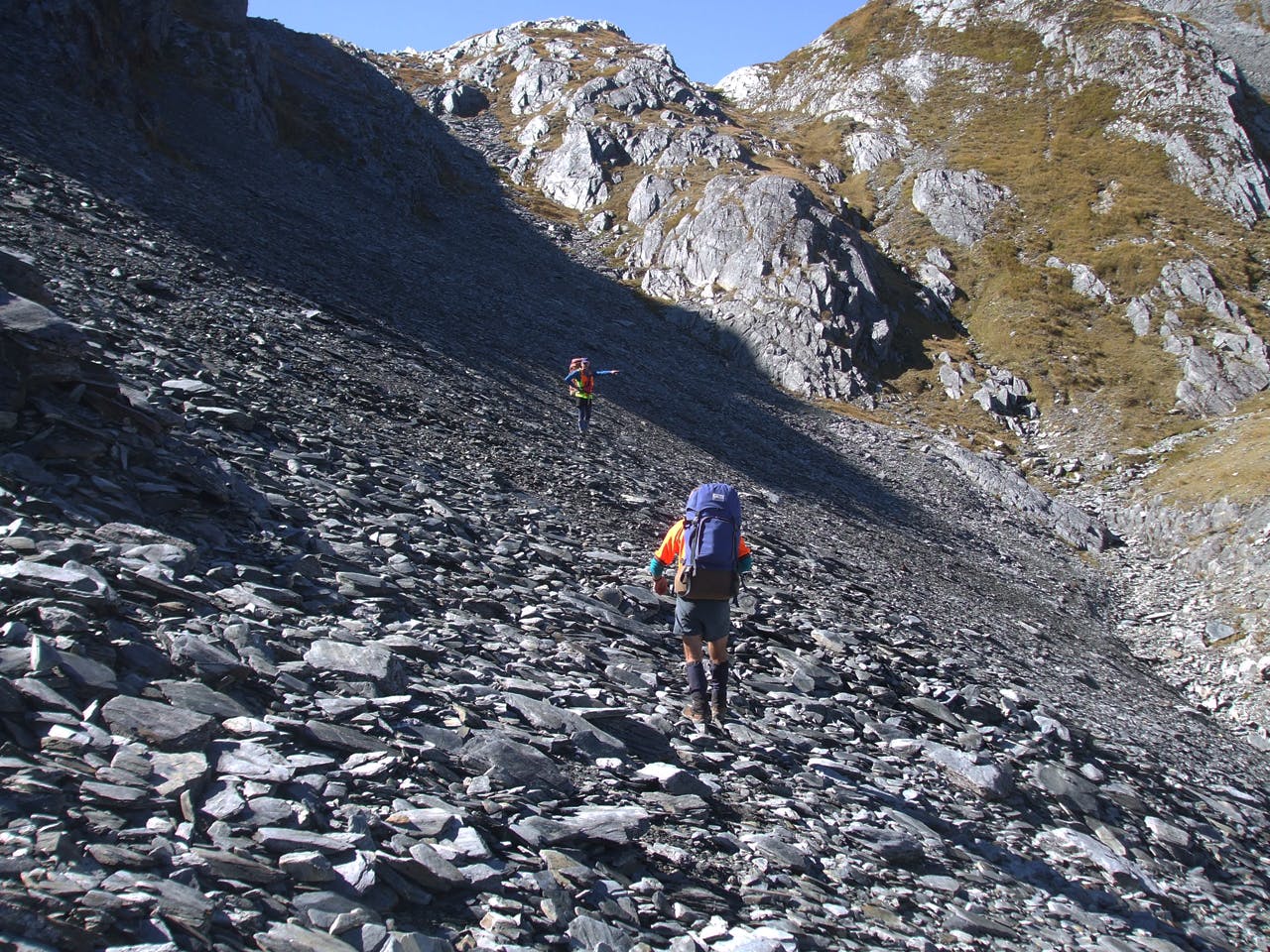 SAR volunteers involved in the search fir Reynolds have continued searching in their own time