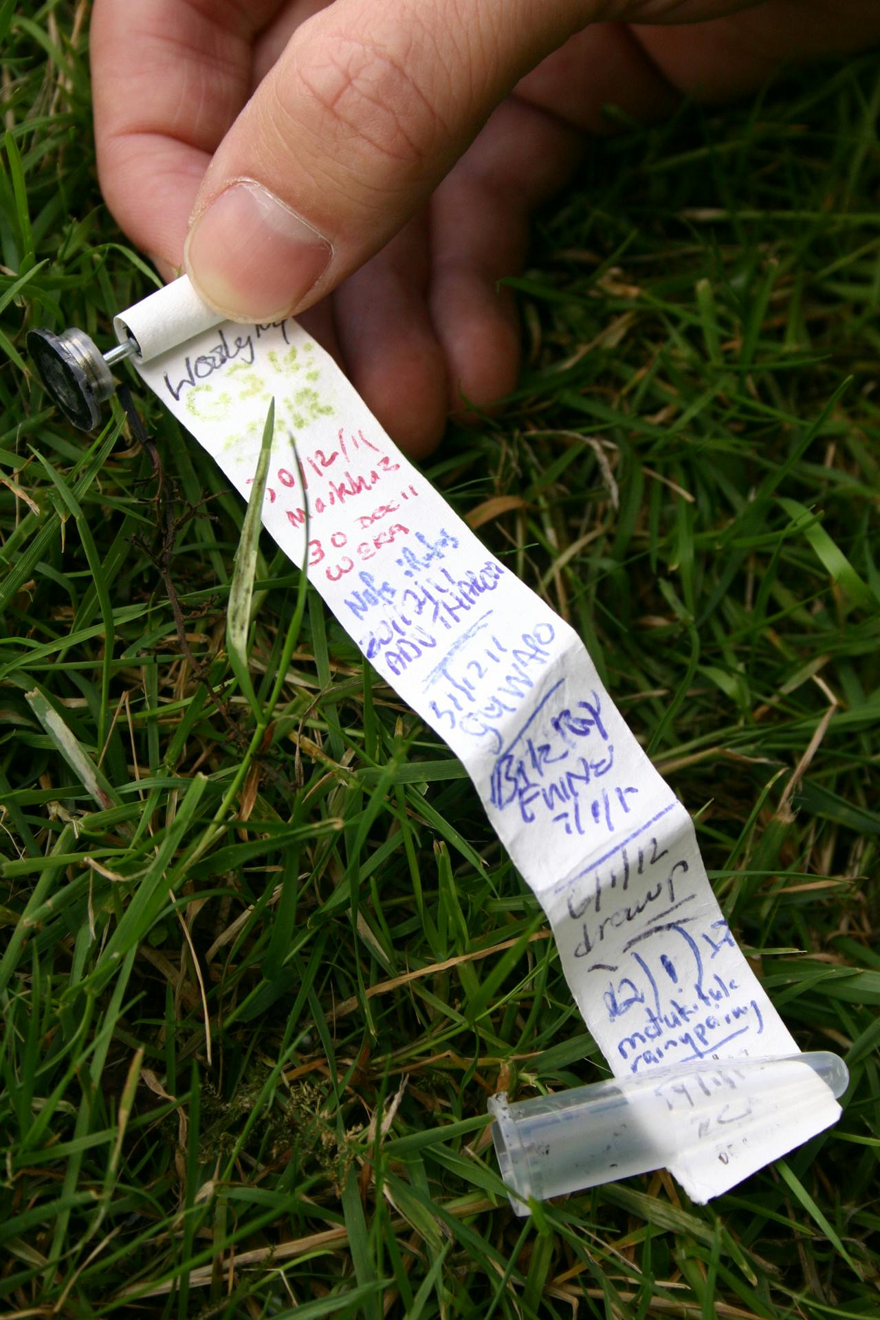 A log book inside a micro-cache found hidden in a tree trunk. Photo: Edith Leigh
