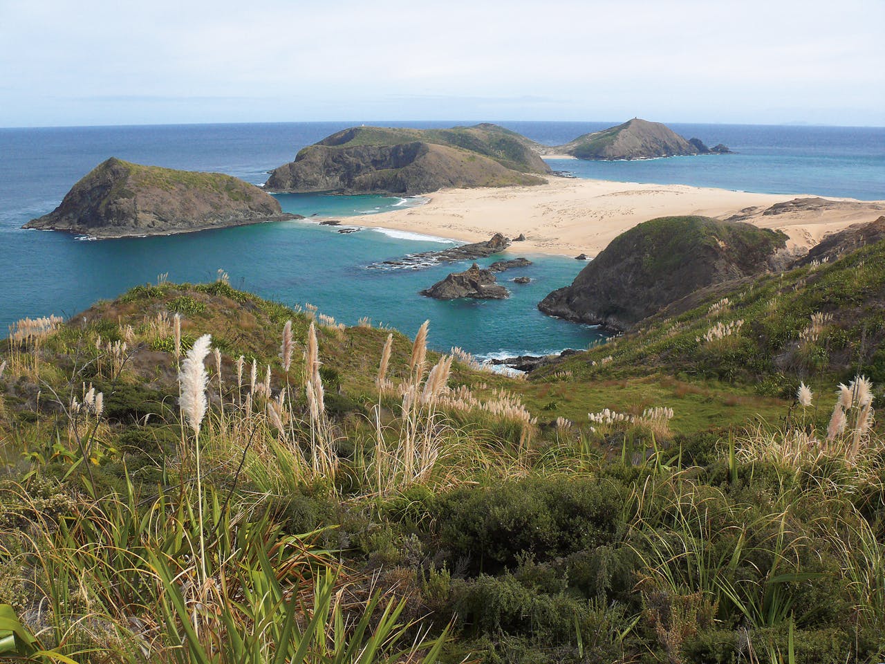 Cape Maria van Diemen with Taupiri Island to the left. Photo: Geoff Spearpoint