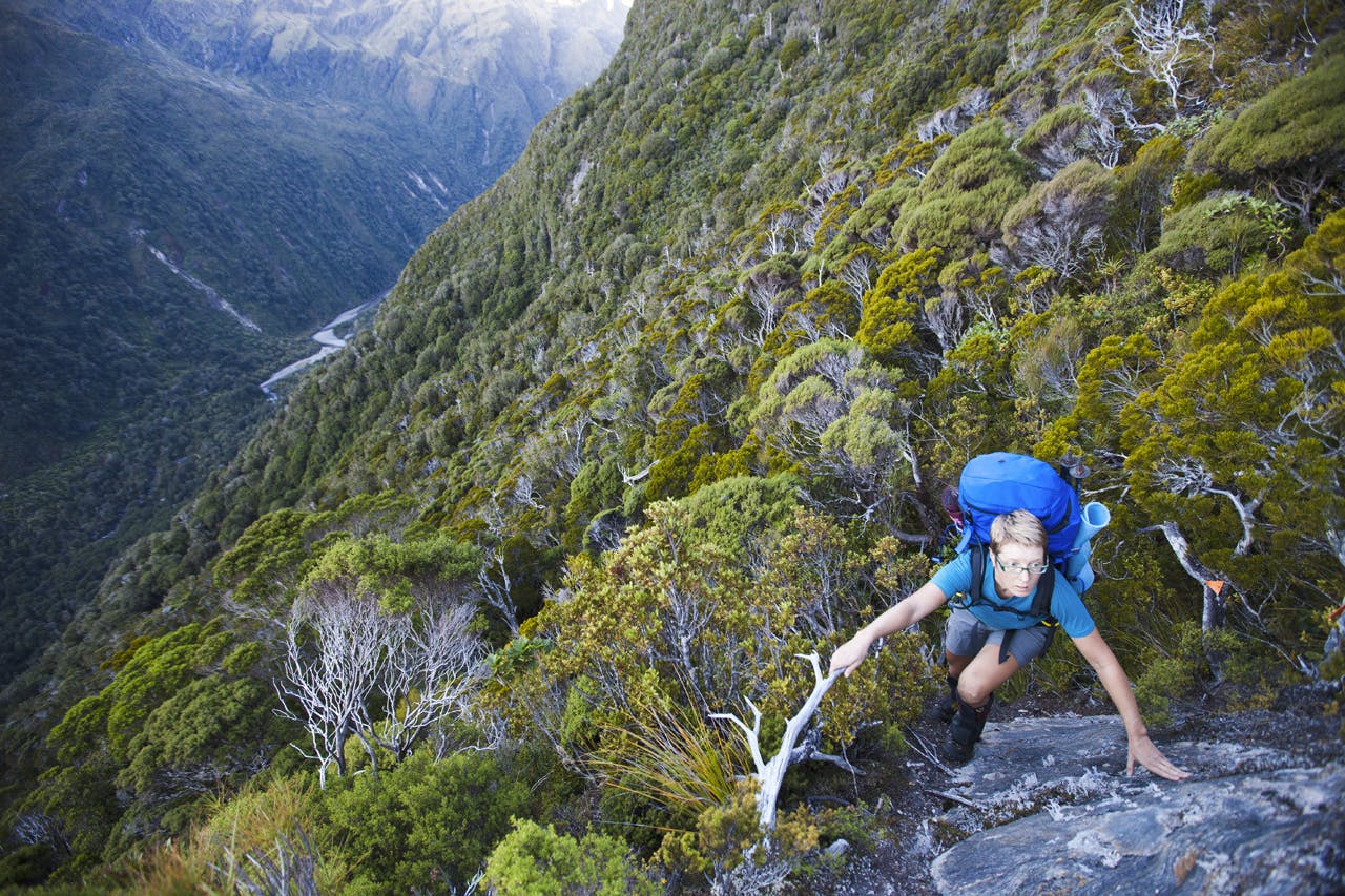 The climb to Conical Hill out of Regina Creek is very steep in places, but a ladder bolted to the cliff and some burly chains aid progess. DOC have done some excellent work in here, keeping the track open and poling the high traverse route into Horace Walker Hut. Photo: Mark Watson