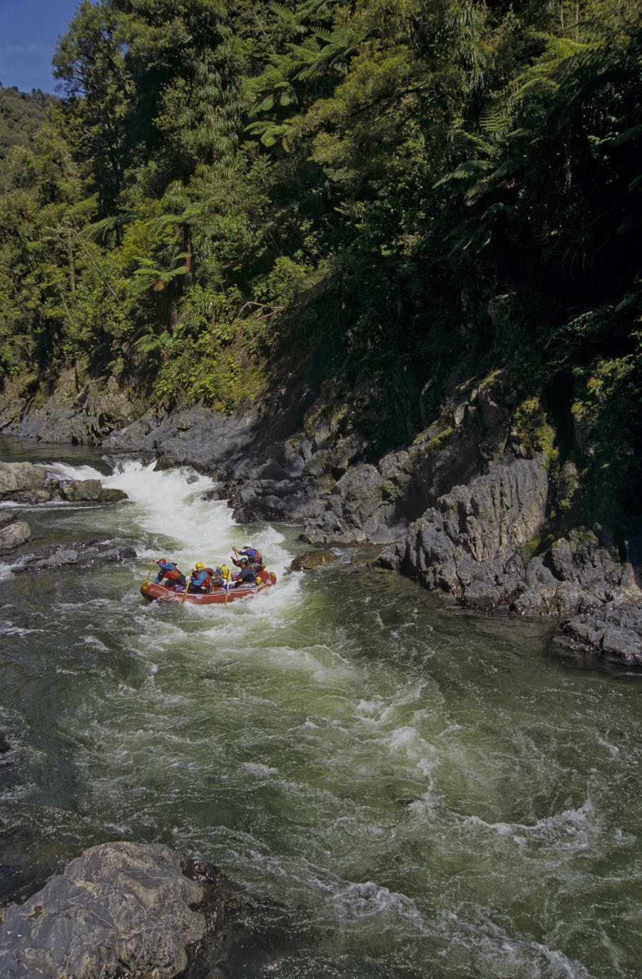 Whitewater action at Bullivants Cascade on the Motu River. Photo: Shaun Barnett