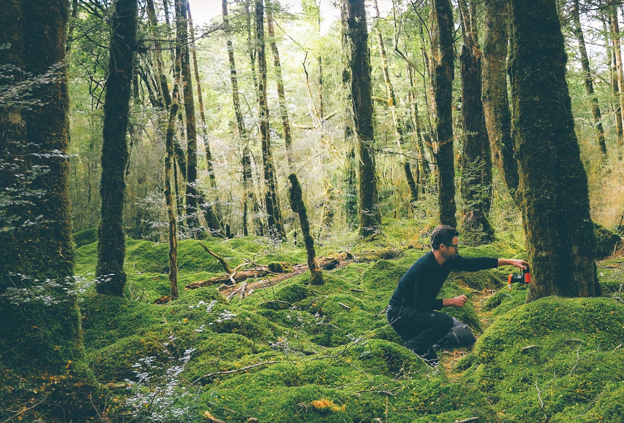 Goodnature's latest design can be left in the field for up to a year before someone needs to check on it. Photo: Supplied