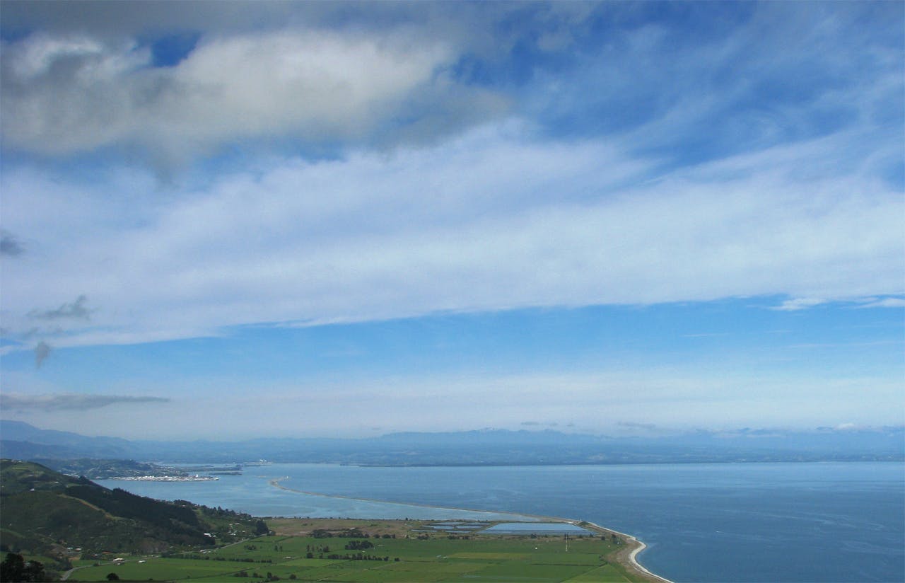 The 3-4hr Cable Bay Walkway starts from the camp ground