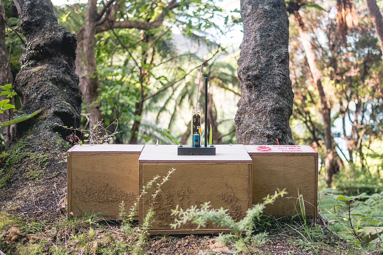 A satellite transmitter on ZIP’s modified DOC 200 (called a TUN200) traps at Bottle Rock can alert staff to a trap going off. Photo: Supplied