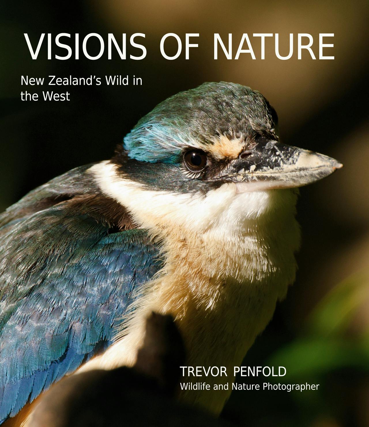95778 - photography book