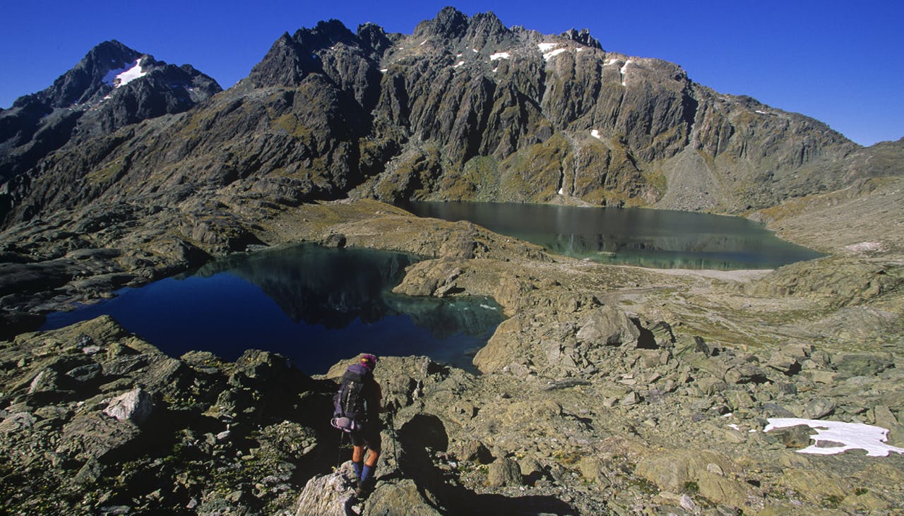 Arriving at the pristine Lake Nerine where trampers can also find flowering buttercups. Photo: Nick Groves