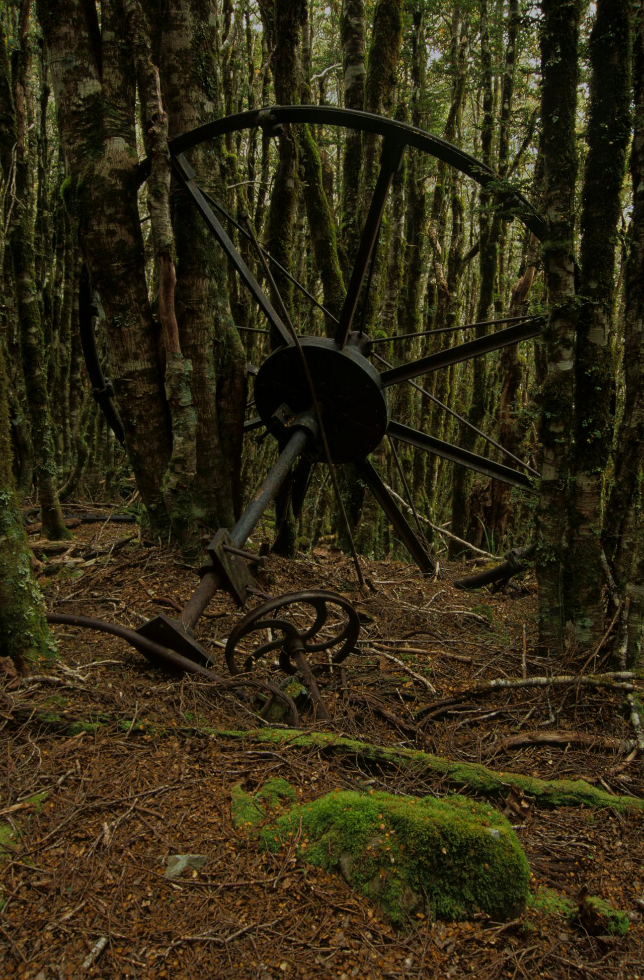 Photo: Shaun Barnett/Black Robin Photography