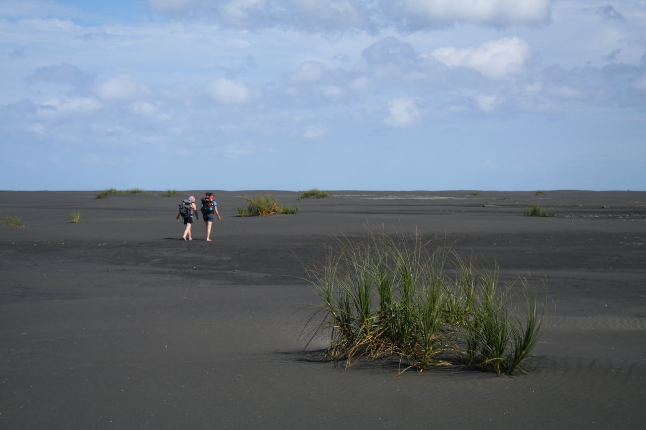 walking barefoot along the striking Whatipu Coast is best done before the black sand heats up. Photo: Josh Gale