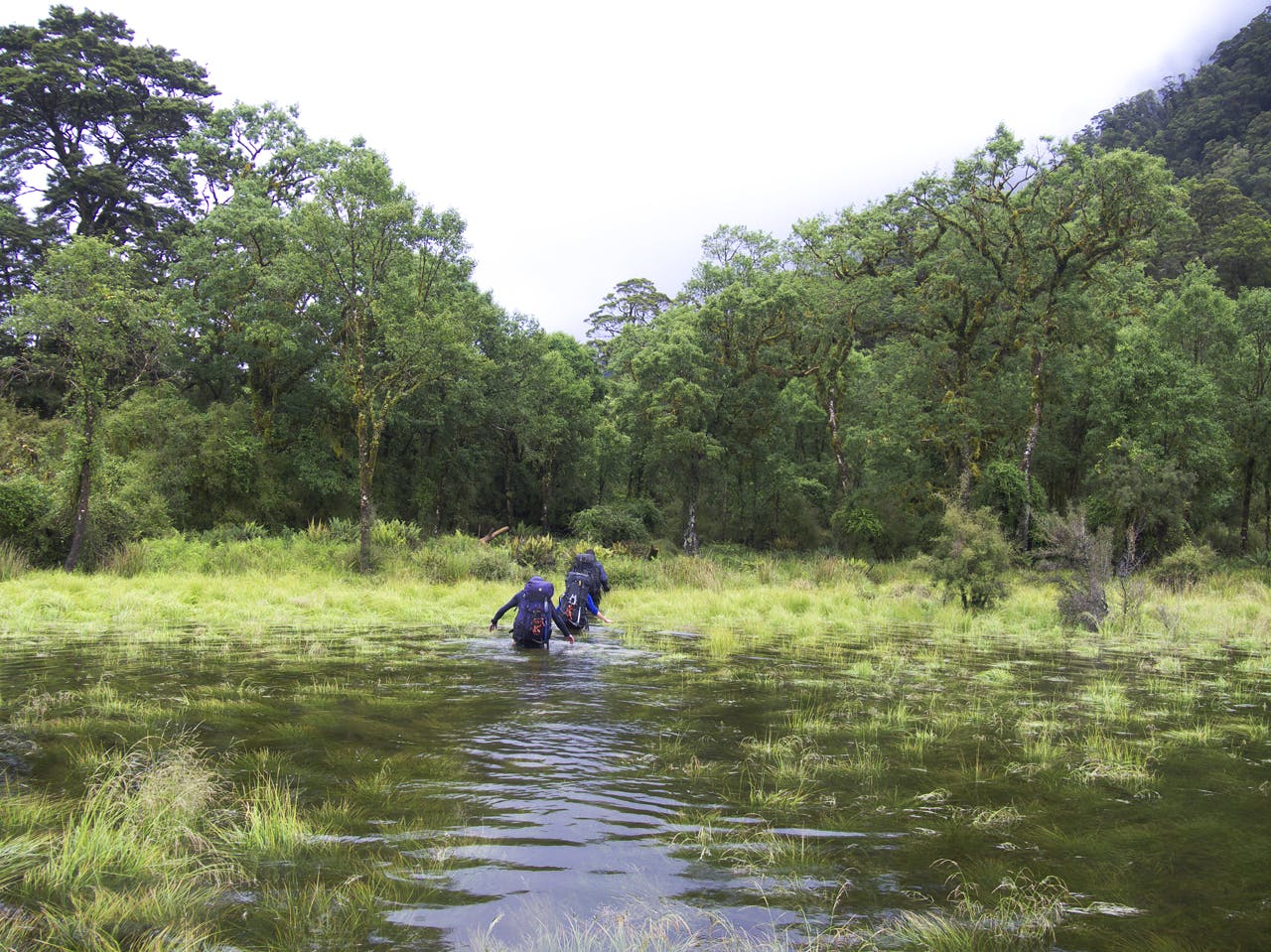 In the Moeraki swamps on attempt 2. Water, water, everywhere, but only one swim. Photo: Geoff Spearpoint